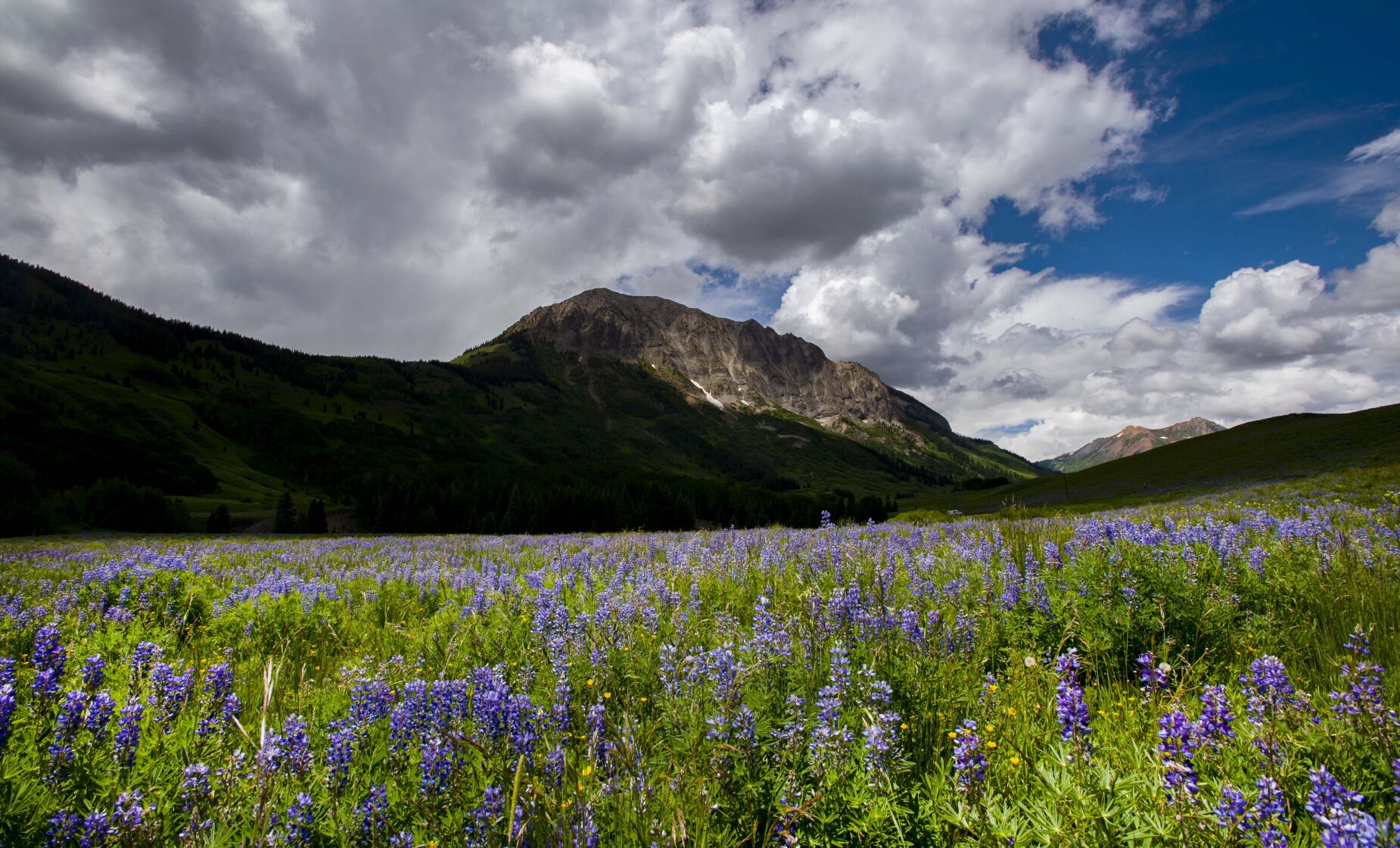 06_30_21 crested butte02623.jpg